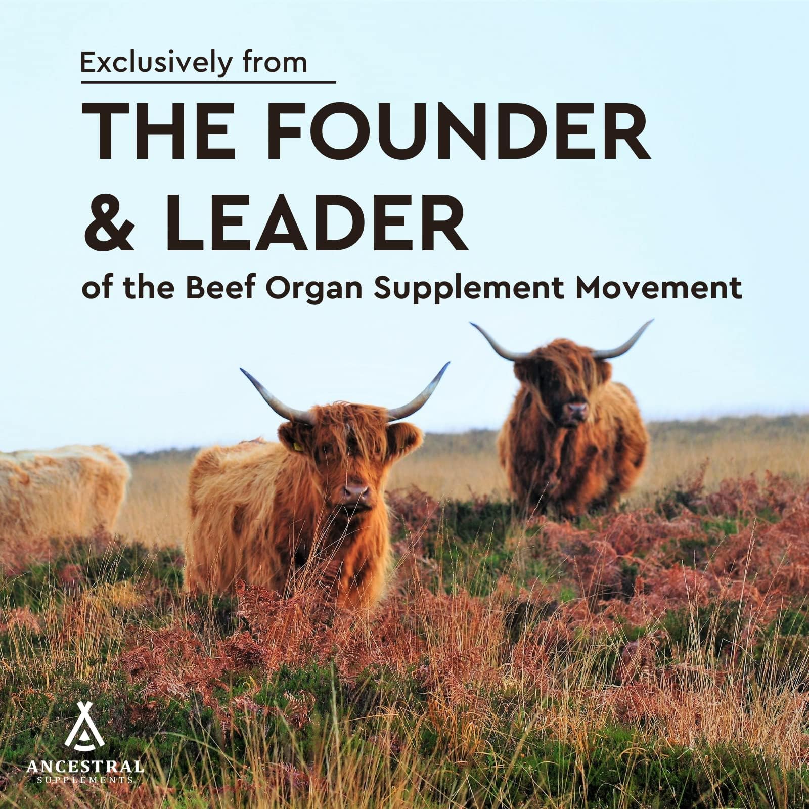 Ancestral Supplements: coq10 image, favorise potentiellement l'énergie cellulaire et le bien-être global.