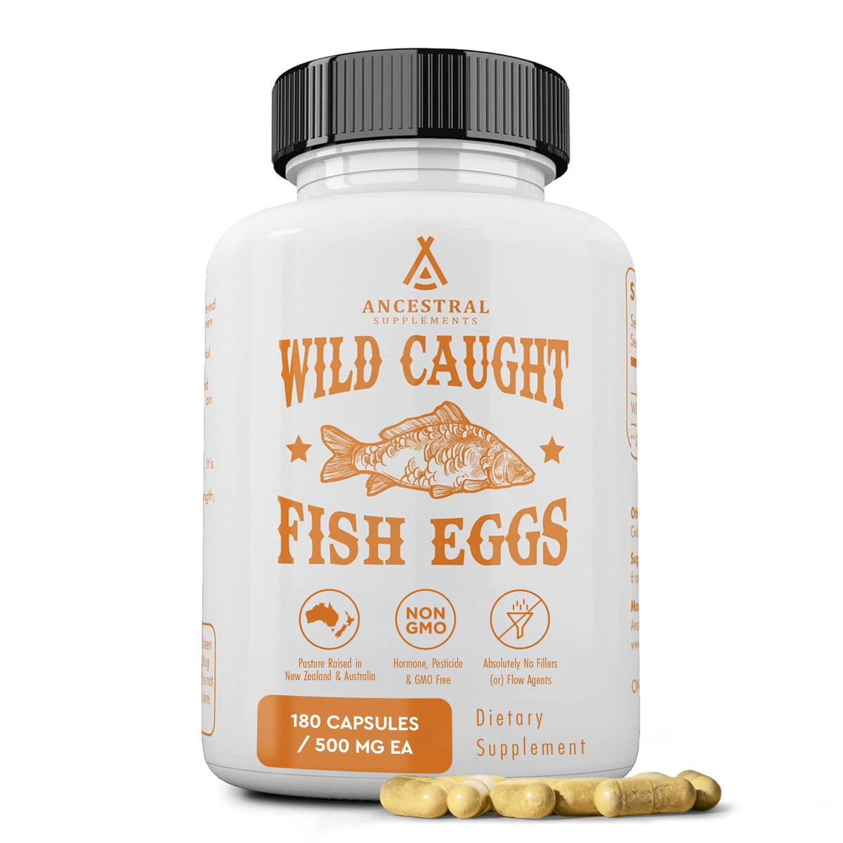 Ancestral Supplements œufs de poisson sauvages en flacon, oméga pour le cerveau