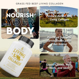 Capsules de collagène vivant Ancestral Supplements pour utilisation quotidienne.