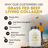 Capsules Ancestral Supplements pour votre rituel quotidien de soin et bien-être.