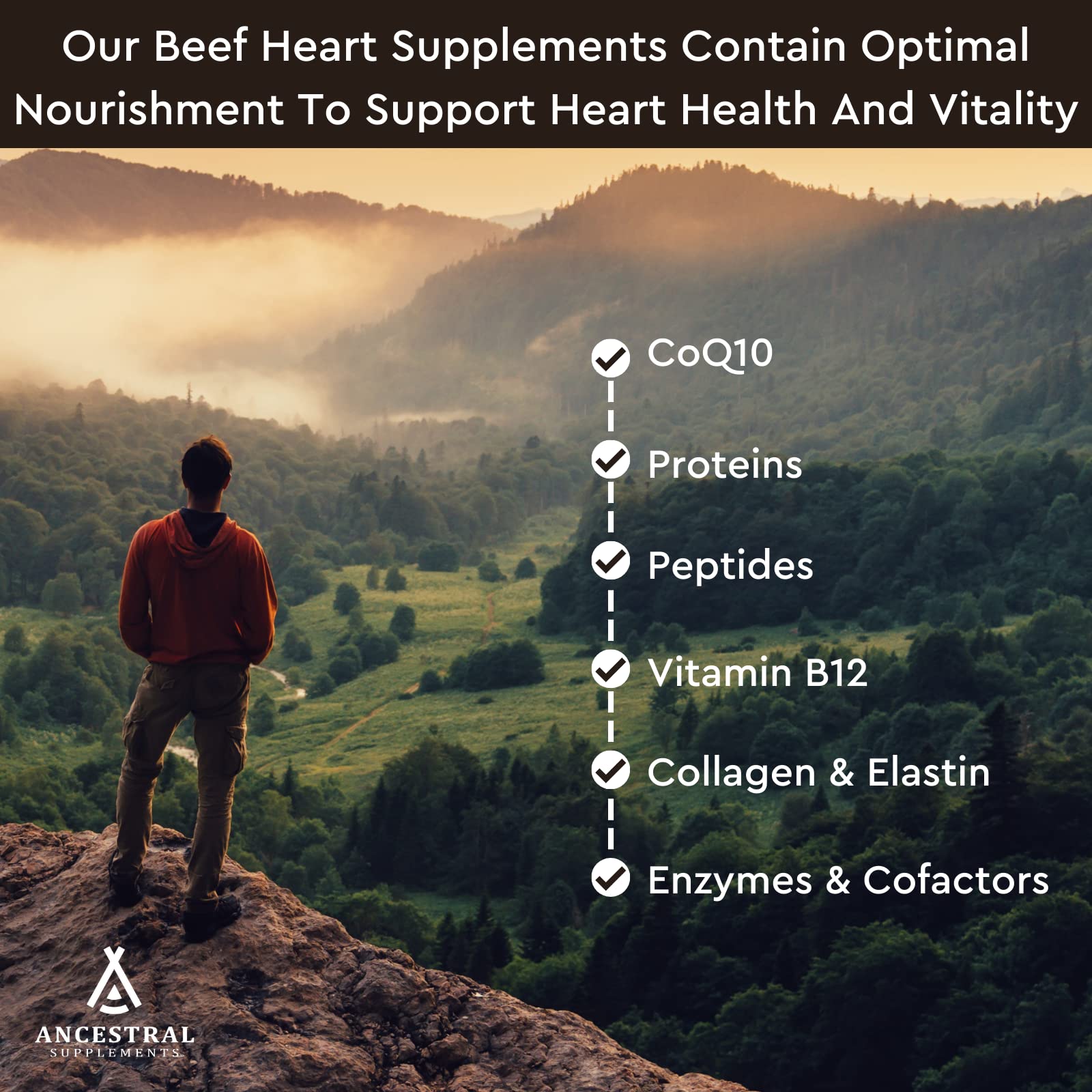 Ancestral Supplements: certification-purite image, produit non-OGM et issu d'animaux nourris à l'herbe.