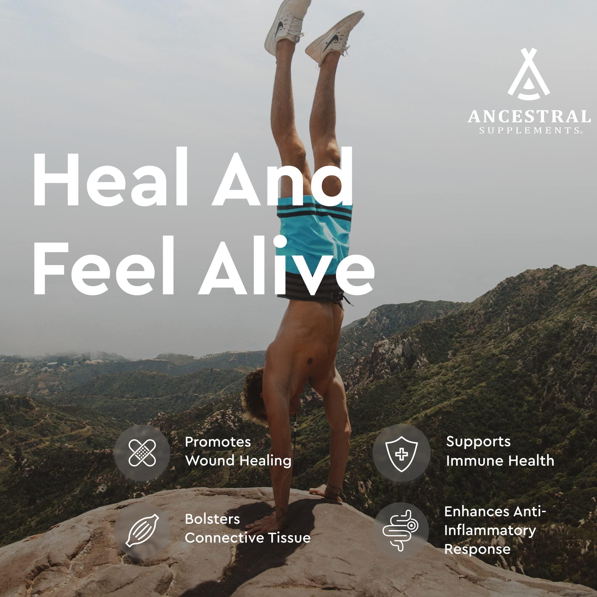 Ancestral Supplements – étiquette avec cartilage trachéal et foie, nutriments essentiels.