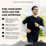 Ancestral Supplements pancréas, enzymes naturelles pour la digestion quotidienne.