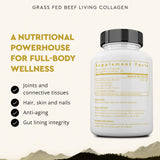 Poudre de collagène vivant Ancestral Supplements prête à être ajoutée dans un smoothie.