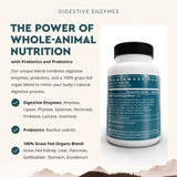 Probiotiques Bacillus subtilis d’Ancestral Supplements, soutien naturel de la flore intestinale