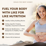 Ancestral Supplements Rein : origine pâturage naturel en Nouvelle-Zélande et Australie, sans hormones.