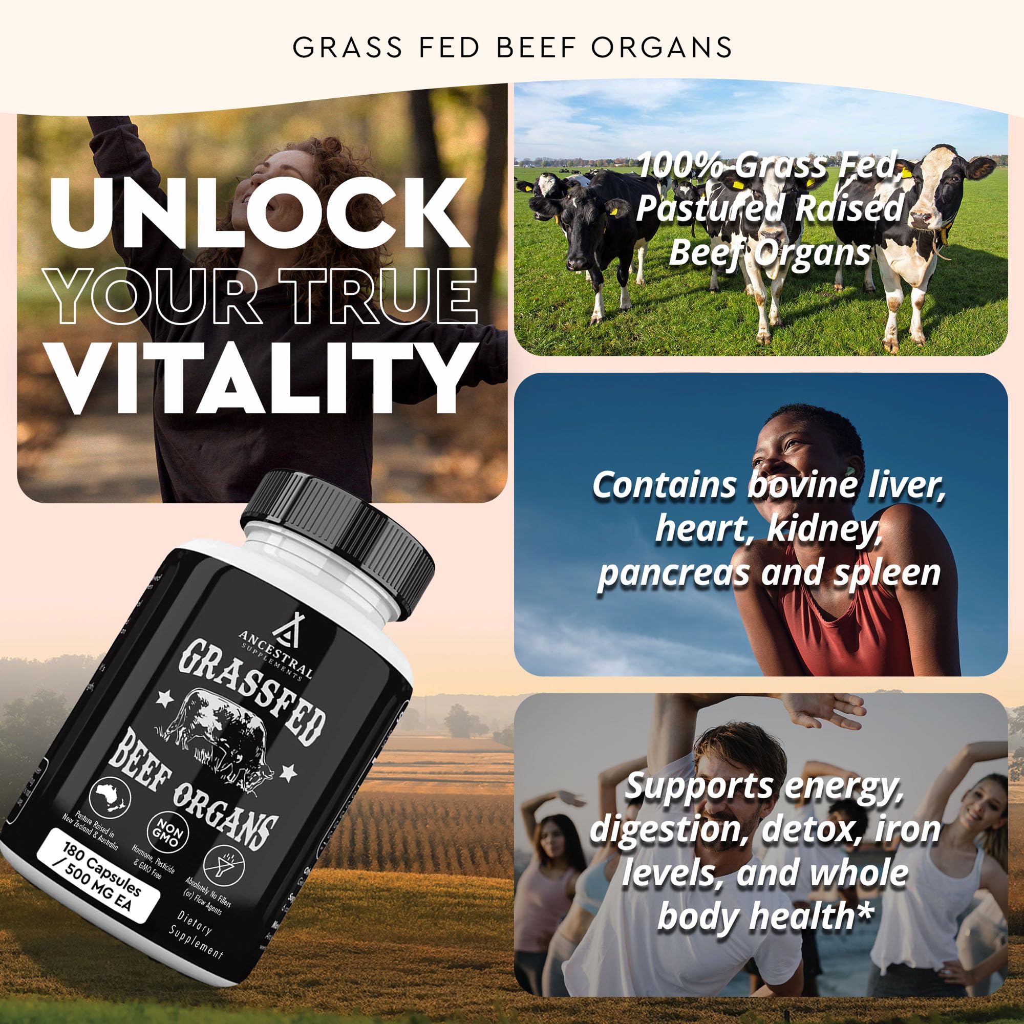Ancestral Supplements rein, fournit du sélénium et des enzymes DAO pour l'équilibre.