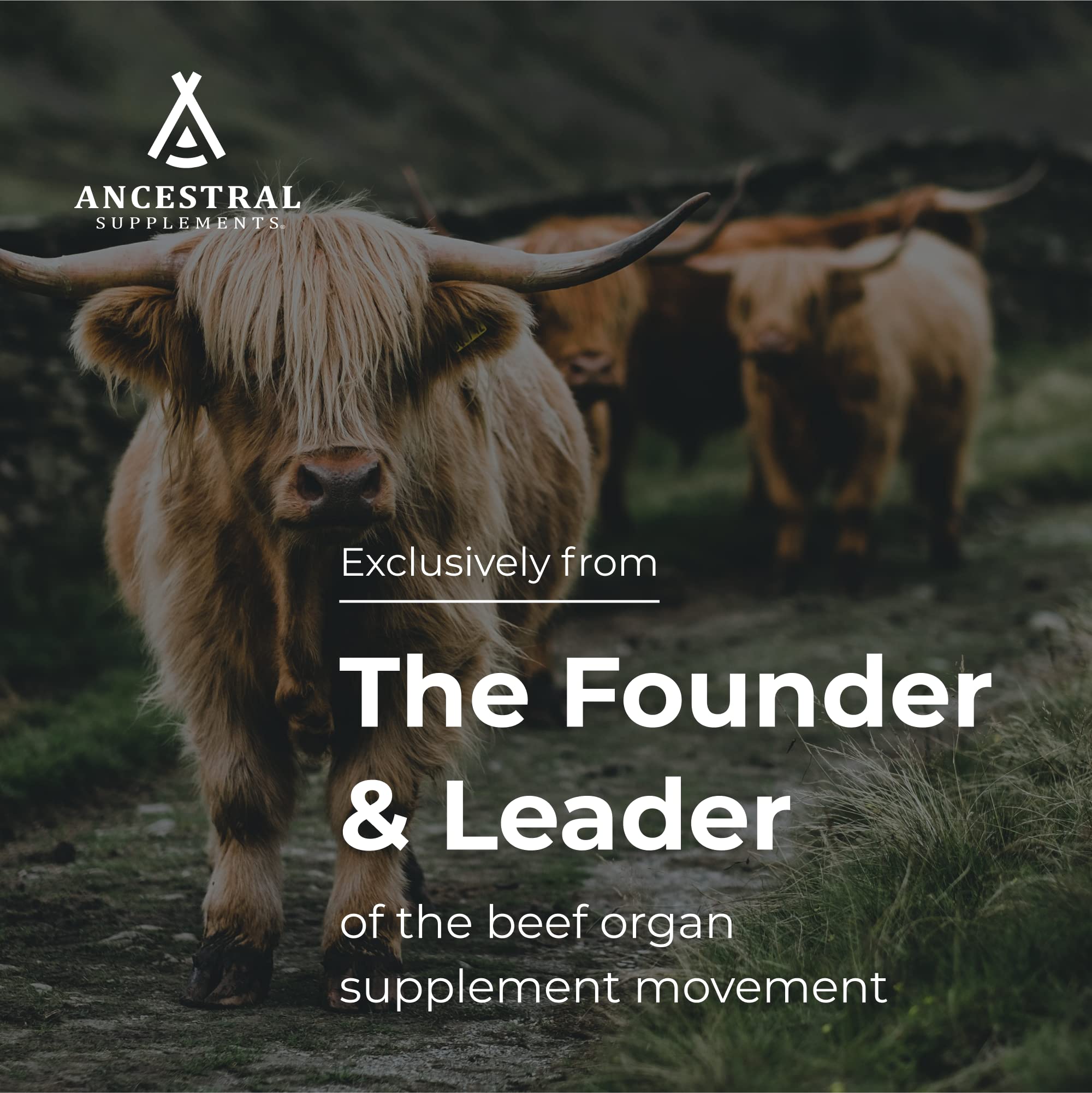 Ancestral Supplements Tripes estomac digestion bien-être potentiel.