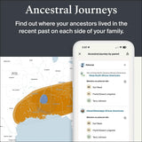 Arbre généalogique AncestryDNA création et visualisation des liens