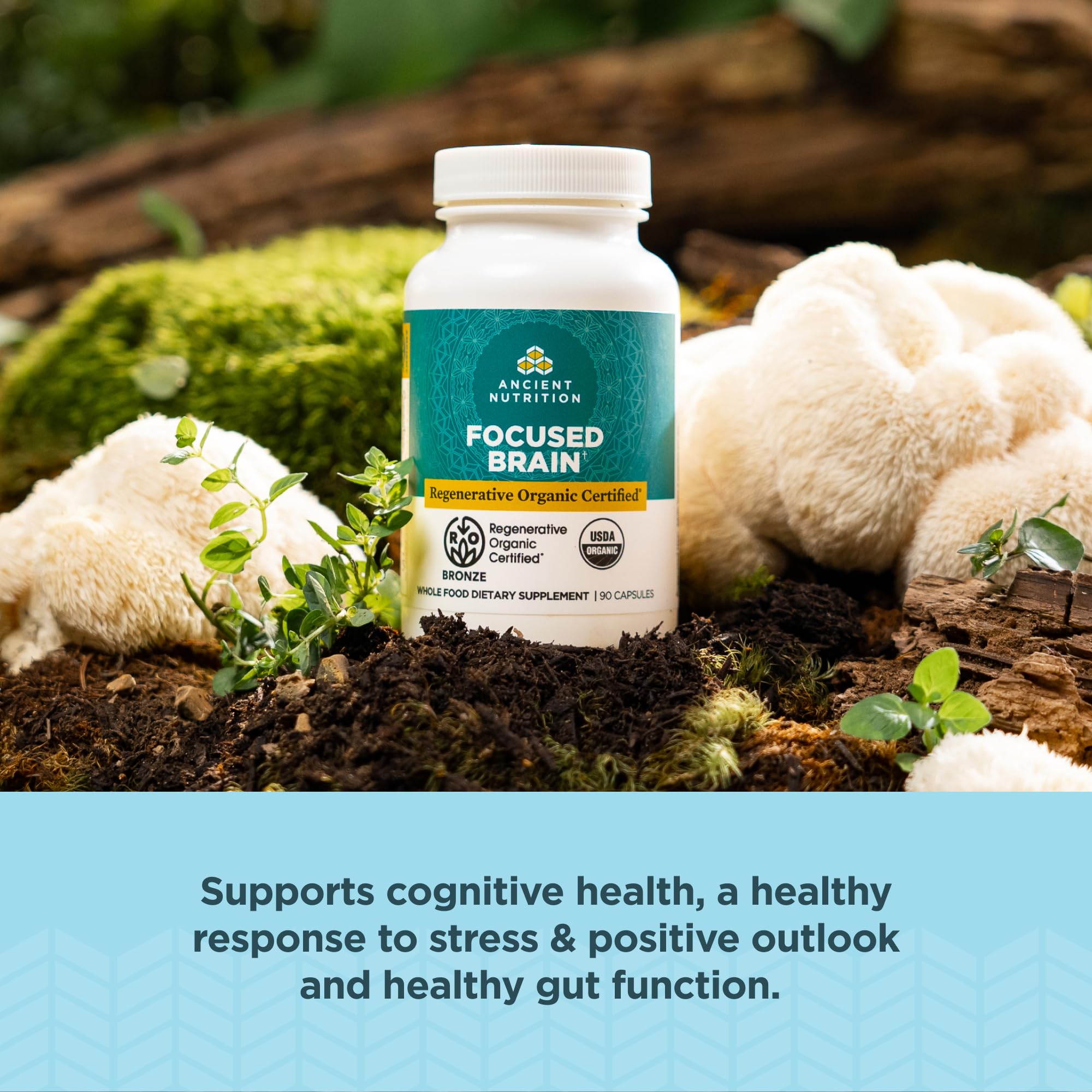 Ancient Nutrition Bouteille et Capsules — versement facile dans la routine quotidienne.