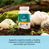 Ancient Nutrition Bouteille et Capsules — versement facile dans la routine quotidienne.