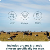 Ancient Nutrition dose quotidienne gélules organes homme, utilisation simple.