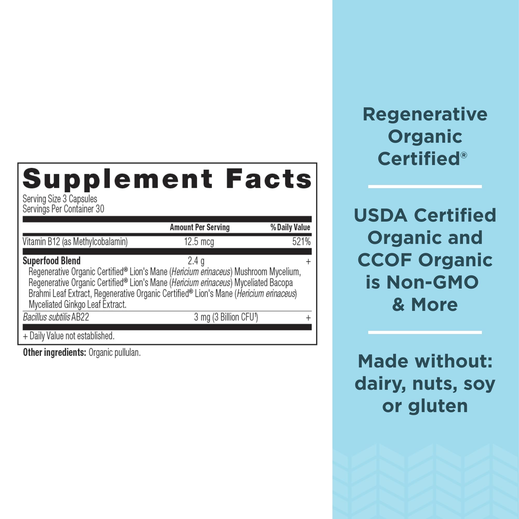 Ancient Nutrition Capsule Cerveau — vue rapprochée des capsules, usage quotidien pratique.