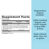 Ancient Nutrition Capsule Cerveau — vue rapprochée des capsules, usage quotidien pratique.