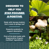 Ancient Nutrition Ingrédients Ginkgo et Crinière de Lion — démonstration des plantes utilisées pour la clarté.