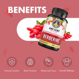 Ancient Bliss Berberine HCL 1200mg - capsules faciles à avaler et pratique.