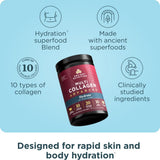 Ancient Nutrition cuillère-dose prête à mesurer le collagène hydratant