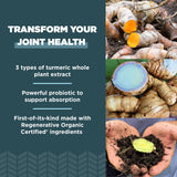 Ancient Nutrition ROC AB22, culture vivante, absorption améliorée potentielle.