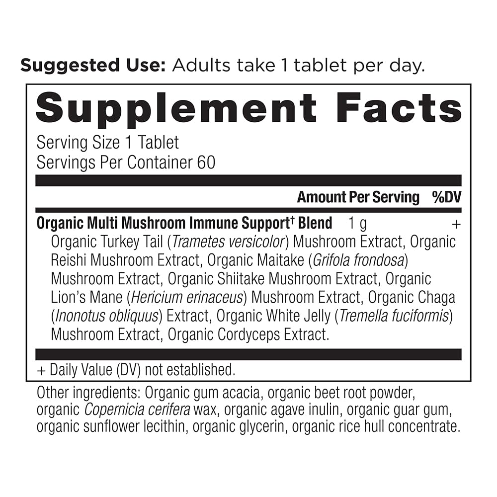 Ancient Nutrition bouteille présentée sur carton, affichage clair et pratique