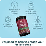 Ancient Nutrition bouteille mesure poudre collagene hydrolysee, dosage précis après séance.