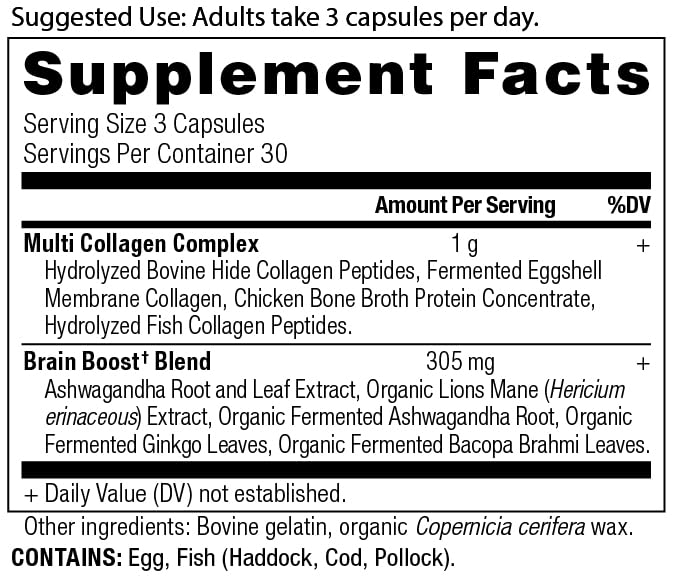 Capsules Ancient Nutrition pour cerveau et clarté mentale, pratique à intégrer.