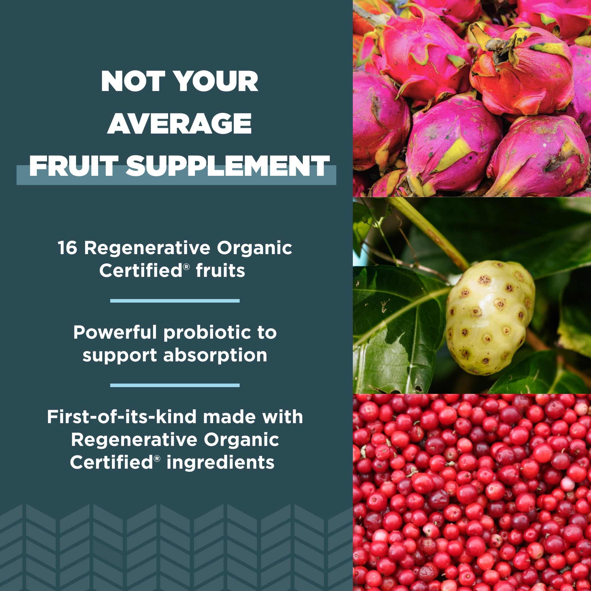 Ancient Nutrition Superfruits Capsules – capsules ouvertes montrant texture et absorption potentielle.