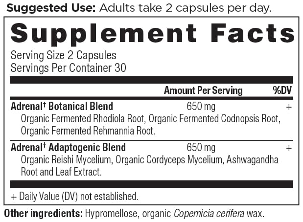 Ancient Nutrition Rhodiola et Reishi - soutien au stress