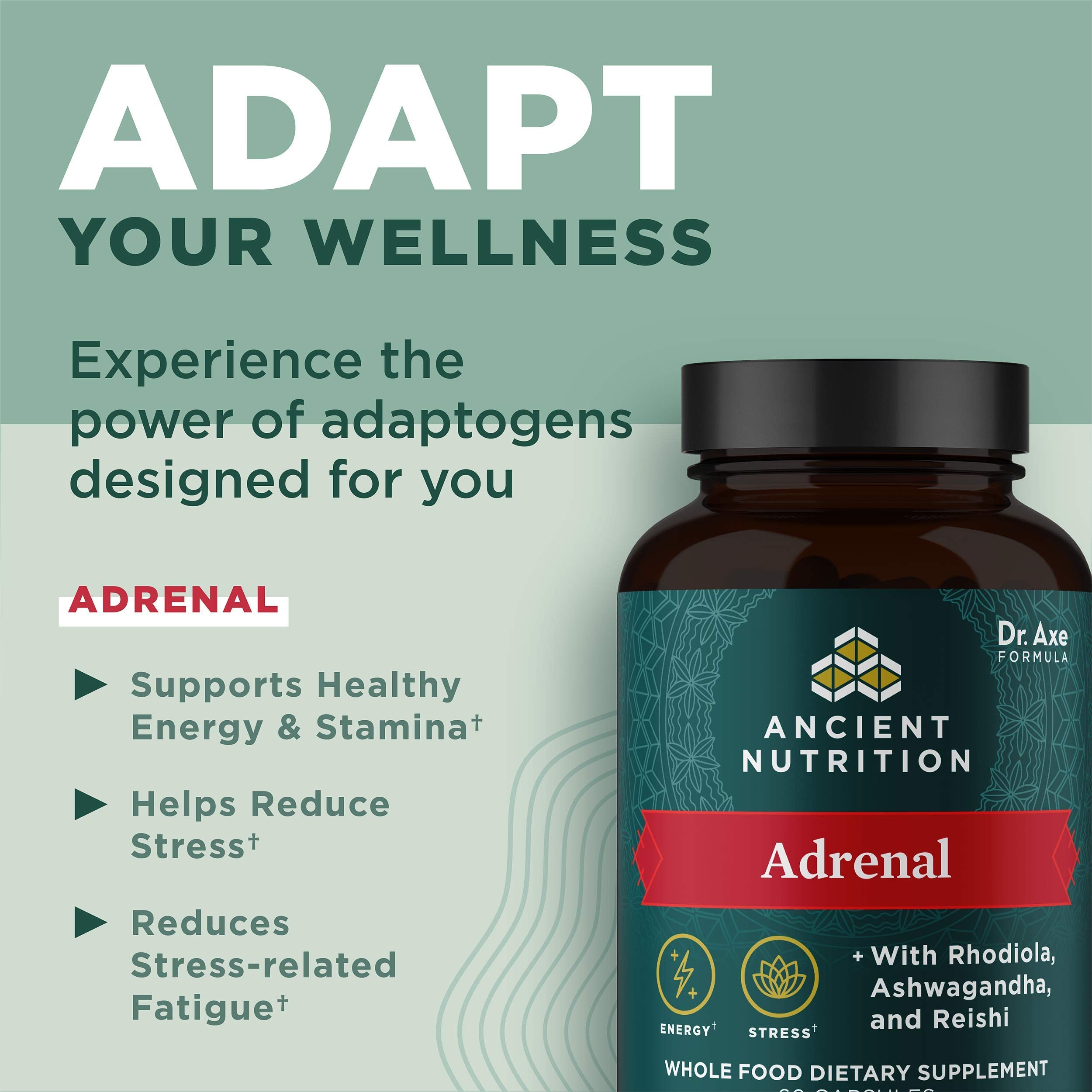 Ancient Nutrition Sans gluten - formule adaptée paléo et céto