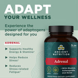 Ancient Nutrition Sans gluten - formule adaptée paléo et céto
