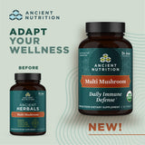 Ancient Nutrition Reishi et Maitake, comprimés, soutien immunitaire possible