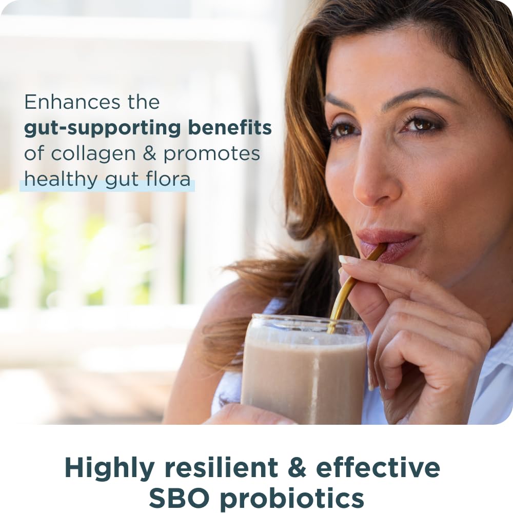 Ancient Nutrition Collagen Vanille, tasse prête à déguster