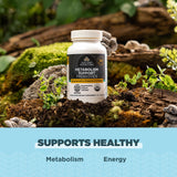 Ancient Nutrition: cordyceps-regeneratif-certifie pour le bien-être potentiel.