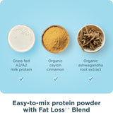 Ancient Nutrition cuillere-dose-protein assure une portion précise