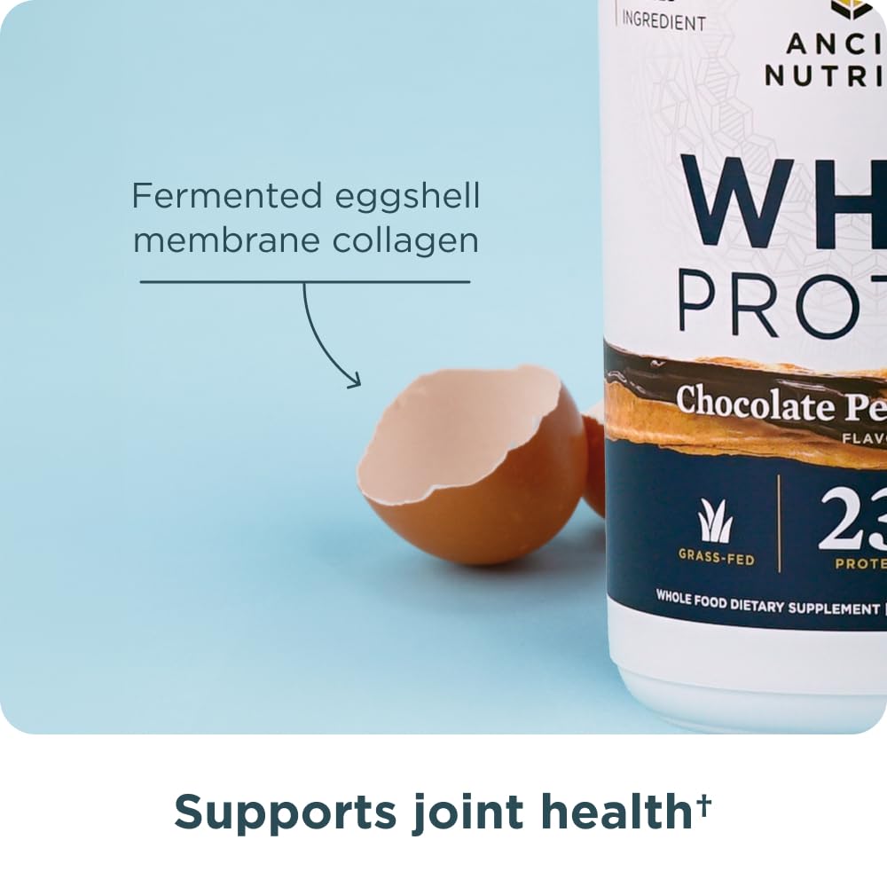Ancient Nutrition degustation gout chocolat cacahuete - saveur agreable et energie durable