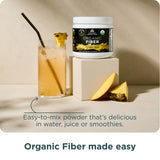 Ancient Nutrition Fibre Organique – gros plan Bacillus coagulans, probiotiques pour la flore