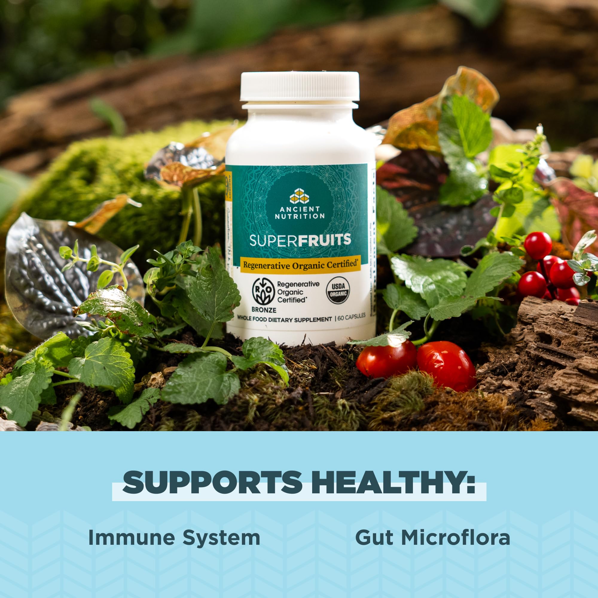 Ancient Nutrition Superfruits Capsules – mulberry, pitaya et goyave illustrant leur richesse.