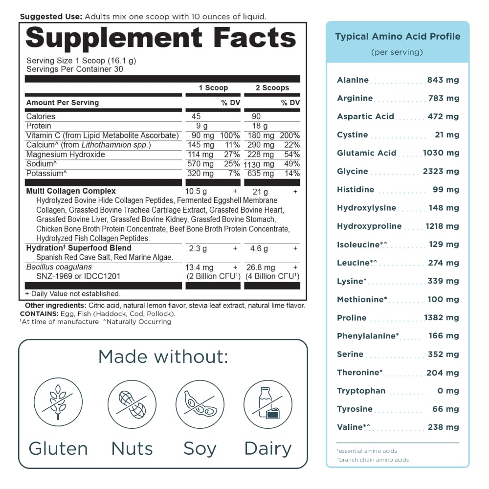 Ancient Nutrition algues rouges marines apportant des minéraux essentiels