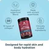 Ancient Nutrition Hydrate cuillère-poudre prête à mesurer pour smoothie