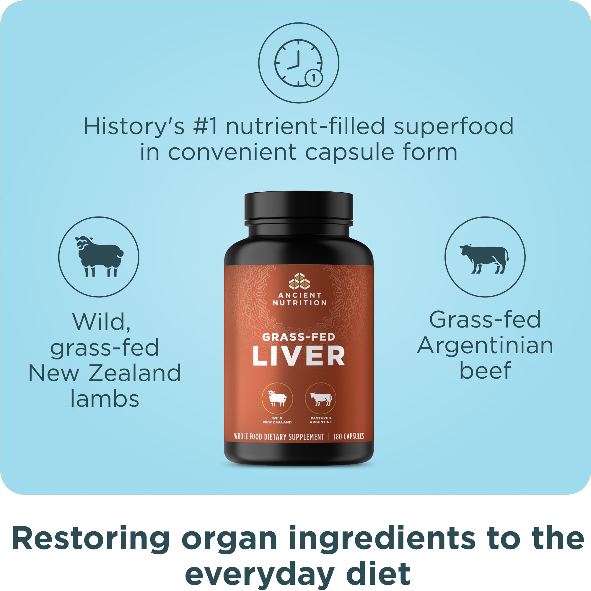 Ancient Nutrition organes foie - capsules: prises faciles pour l’apport quotidien.