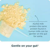 Ancient Nutrition Mélange Protéine Vanille, goût agréable et utilisation quotidienne.