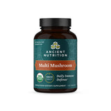 Ancient Nutrition Multi-Champignons en bouteille, soutien immunitaire potentiel et simplicité d'utilisation