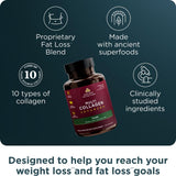 Gélules Ancient Nutrition Multi Collagène Avancé Mince, utilisation quotidienne pour énergie durable.