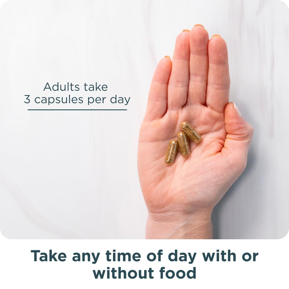 Probiotiques inclus dans le mélange collagène pour une routine quotidienne.