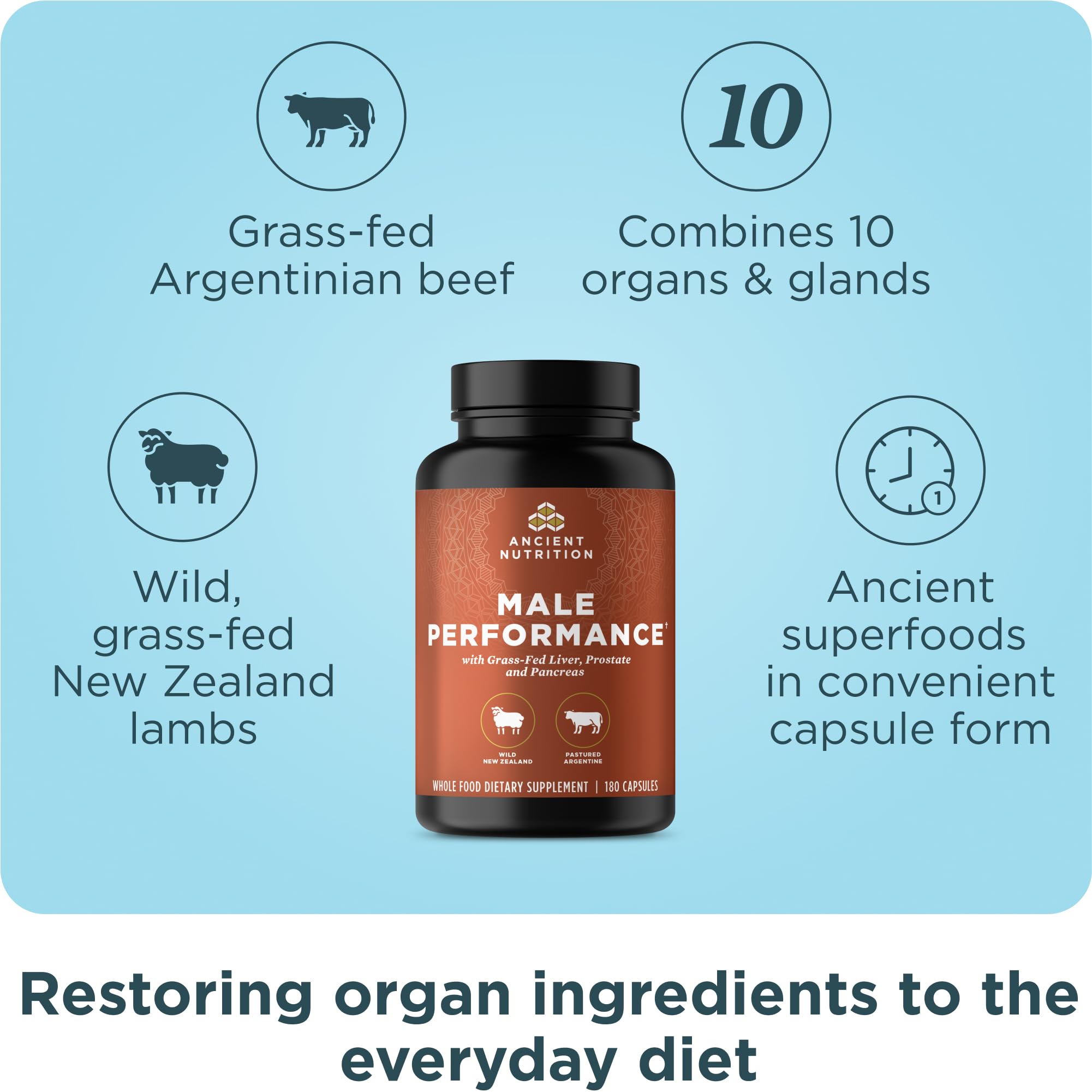 Ancient Nutrition organes pour homme – étiquette claire et ingrédients d’organes de haute qualité.