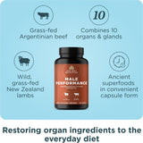 Ancient Nutrition organes pour homme – étiquette claire et ingrédients d’organes de haute qualité.