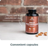 Ancient Nutrition organes pour homme – packaging pratique et intégration facile dans la routine.