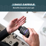 Ancient Nutrition Probiotics Femmes — souches Saccharomyces boulardii et Bacillus pour l’équilibre