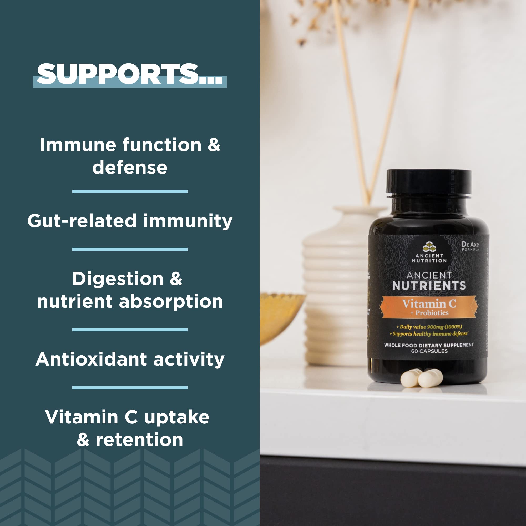 Ancient Nutrition Probiotics et Vitamin C – capsules visibles pour une prise pratique.