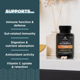 Ancient Nutrition Probiotics et Vitamin C – capsules visibles pour une prise pratique.