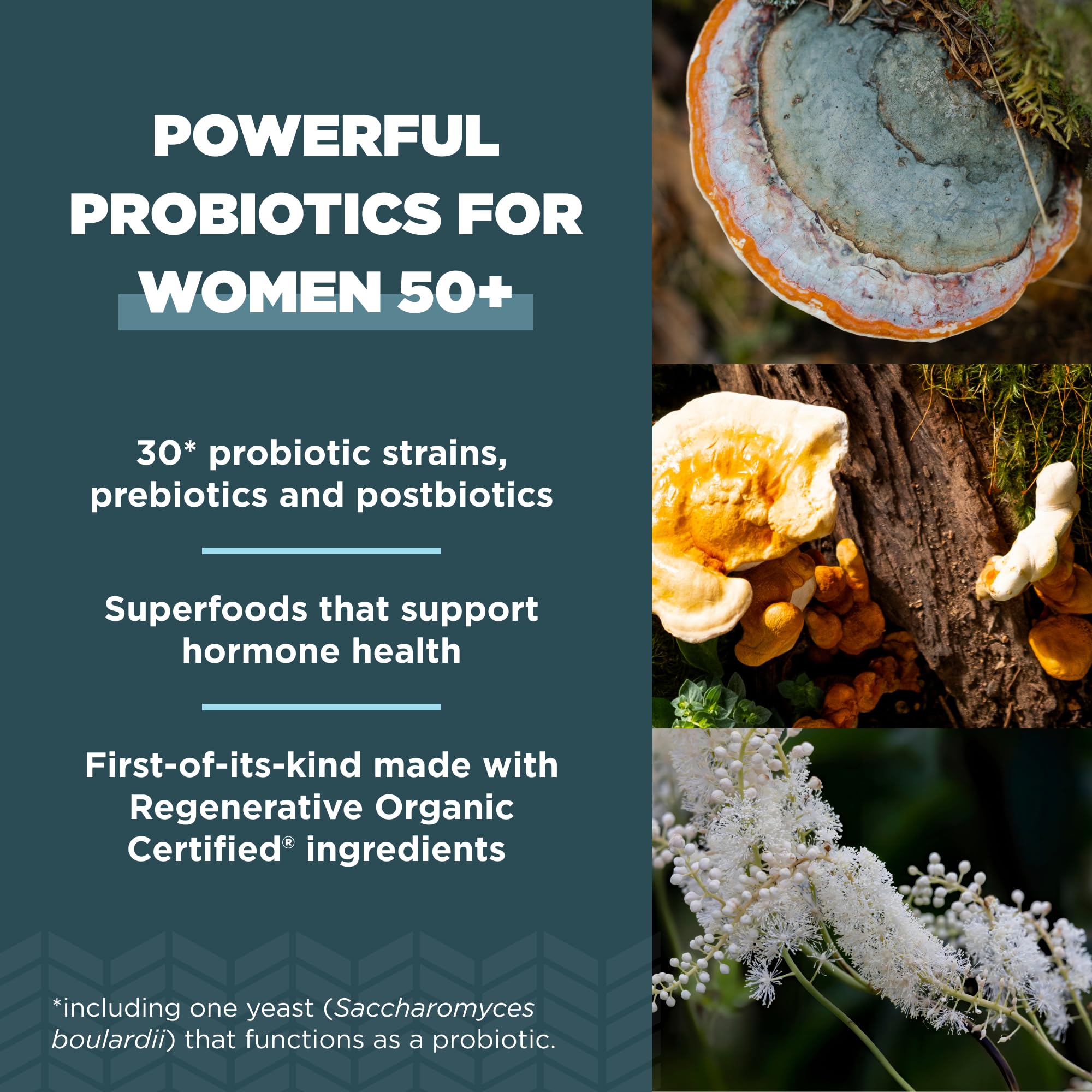 Ancient Nutrition Probiotiques Femme50 – dose journalière simple à prendre